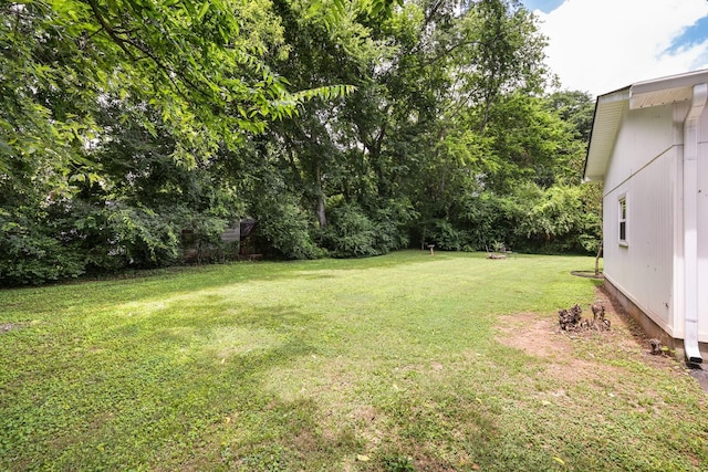 2010 Olympia Pl, Murfreesboro, TN 37130 - view of green lawn