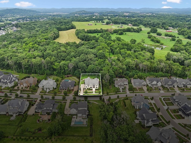 8654 Belladonna Dr, College Grove, TN 37046 - photo 98