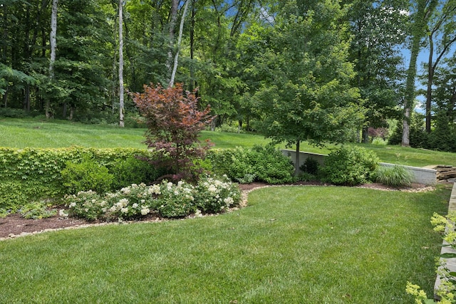 8654 Belladonna Dr, College Grove, TN 37046 - photo 95