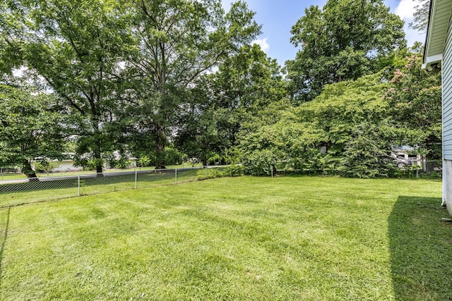 112 Ray Ave, Old Hickory, TN 37138 - view of yard