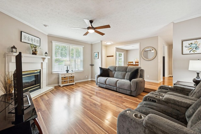 1008 Ash Cir, La Vergne, TN 37086 - photo 18