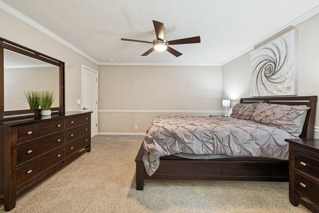 1008 Ash Cir, La Vergne, TN 37086 - photo 31