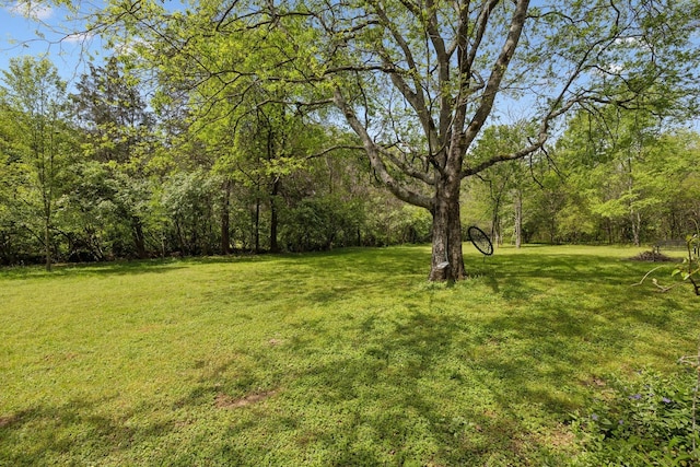 4909 Stonemeade Dr, Nashville, TN 37221 - photo 38