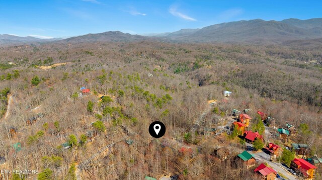 2157 E View Dr, Sevierville, TN 37876 - photo 39