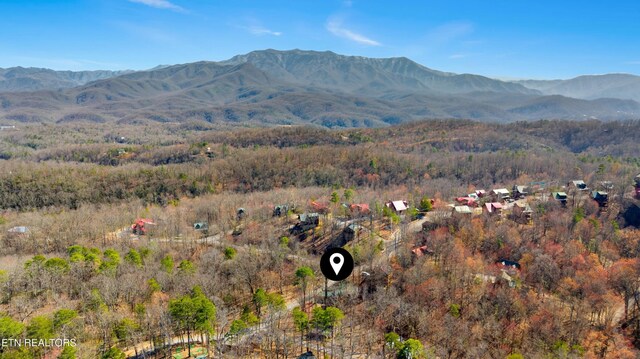 2157 E View Dr, Sevierville, TN 37876 - photo 40