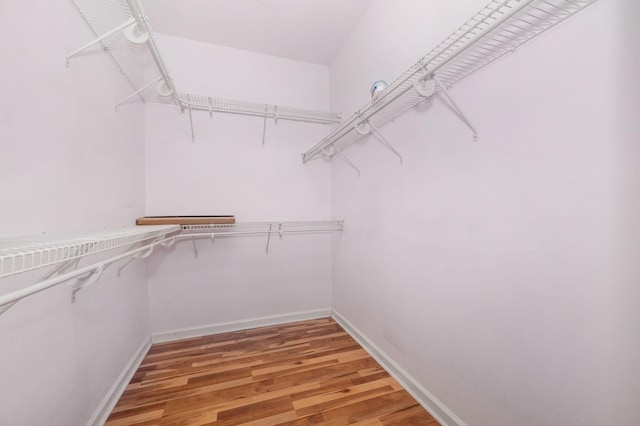 1324 Mockingbird Ln, Murfreesboro, TN 37130 - spacious closet featuring light wood-style flooring