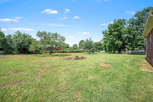 1324 Mockingbird Ln, Murfreesboro, TN 37130 - view of green lawn