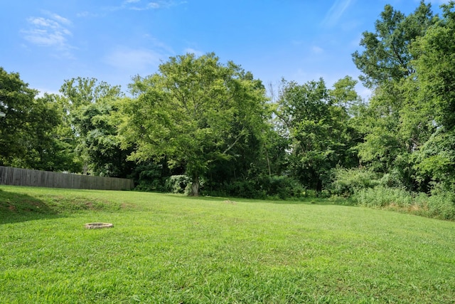 909 Woods Lake Dr, Madison, TN 37115 - view of yard