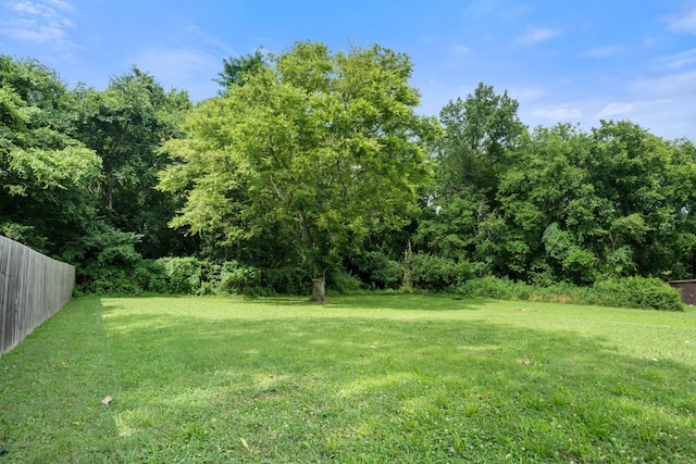 909 Woods Lake Dr, Madison, TN 37115 - view of yard