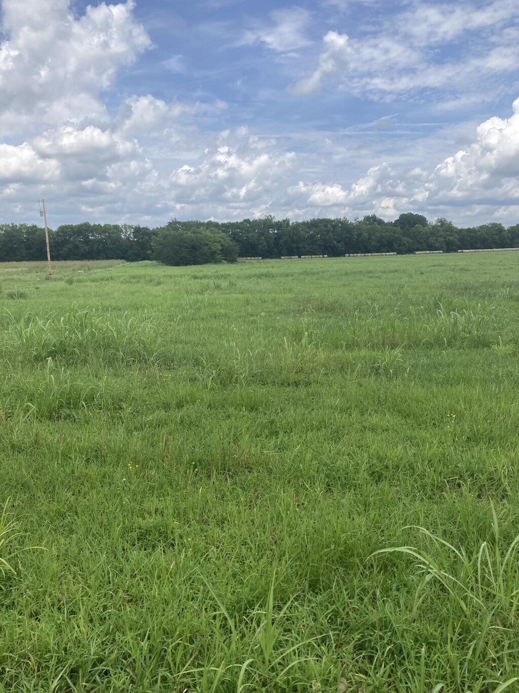 0 Virgil Beasley Rd, Chapel Hill, TN 37034