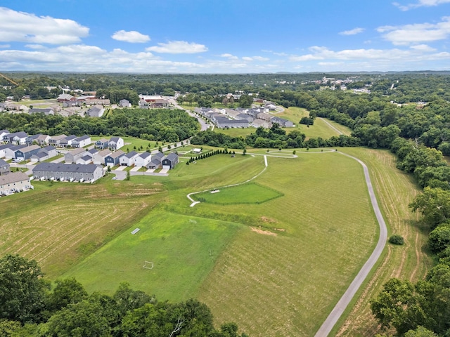 661 Taylor Bend Rd, Columbia, TN 38401 - photo 41