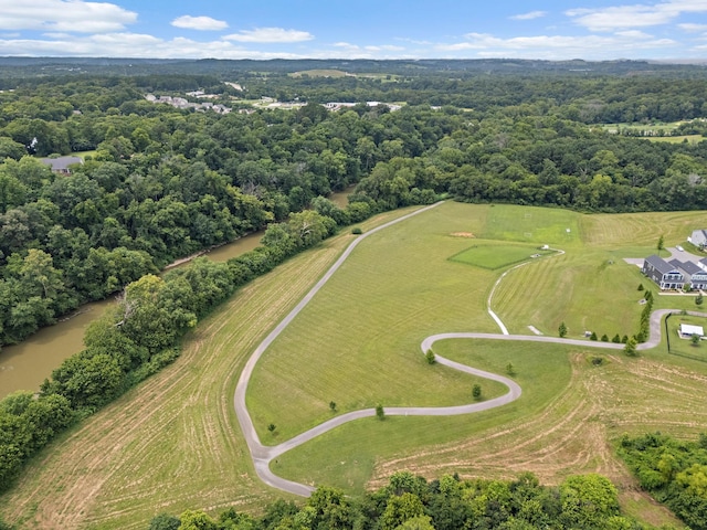 661 Taylor Bend Rd, Columbia, TN 38401 - photo 39