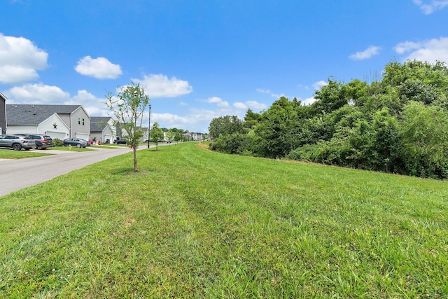 661 Taylor Bend Rd, Columbia, TN 38401 - photo 34
