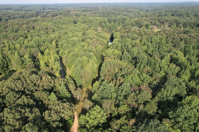 160 Webb Rd, Summertown, TN 38483 - aerial view of property and surrounding area featuring a heavily wooded area