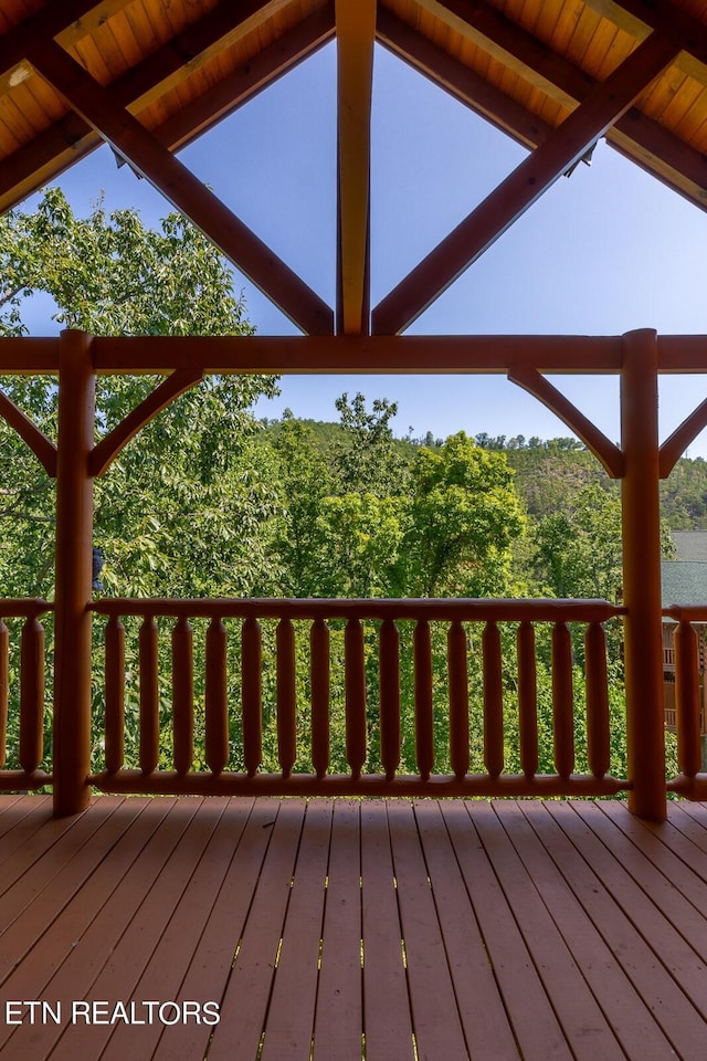 1006 Cricket Wood Way, Sevierville, TN 37862 - photo 30