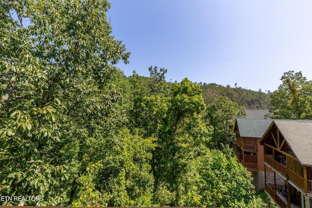 1006 Cricket Wood Way, Sevierville, TN 37862 - photo 33