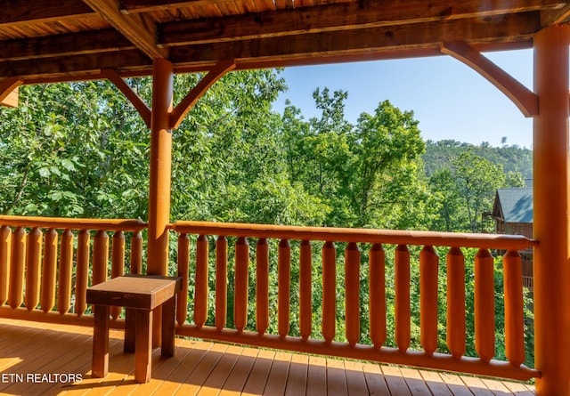 1006 Cricket Wood Way, Sevierville, TN 37862 - photo 14