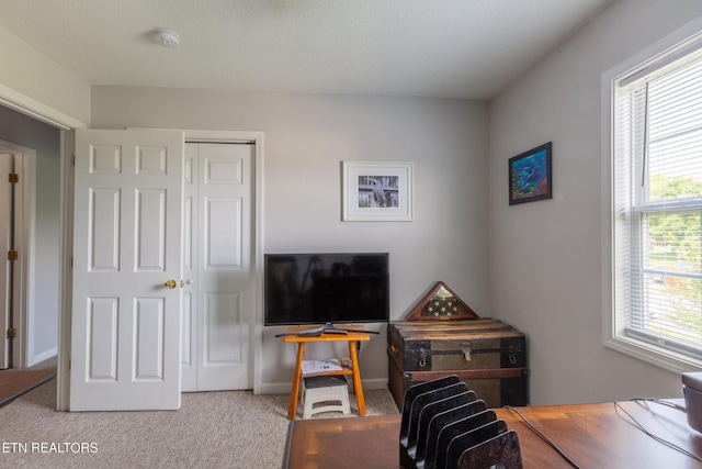 1605 Country Meadows Dr, Sevierville, TN 37862 - photo 16