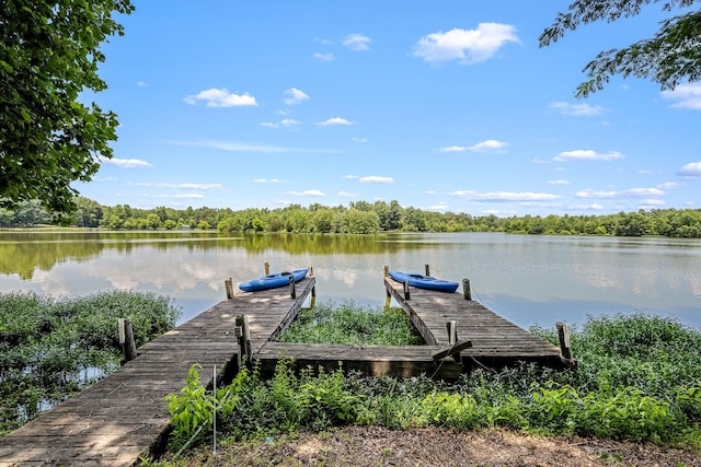 55 Parker Pt, Beechgrove, TN 37018 - dock featuring a water view and a wooded view