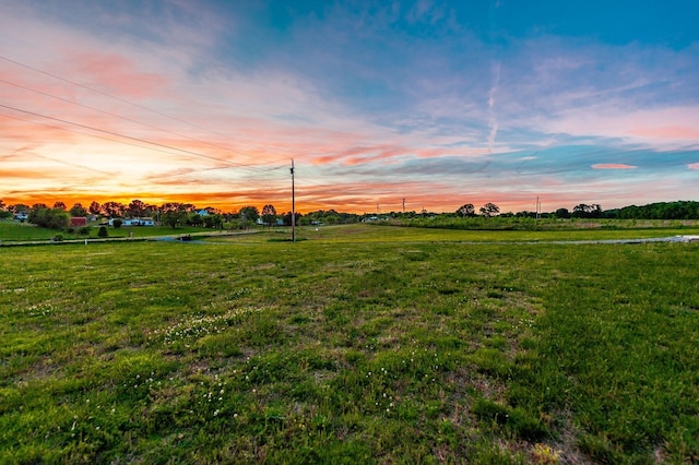 1446 Littleton Ranch Rd, Castalian Springs, TN 37031 - yard at dusk with a view of rural / pastoral area