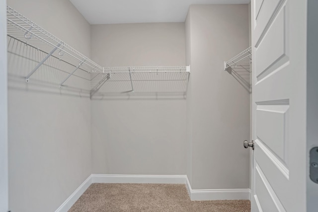156 Excell Rd, Clarksville, TN 37043 - photo 20