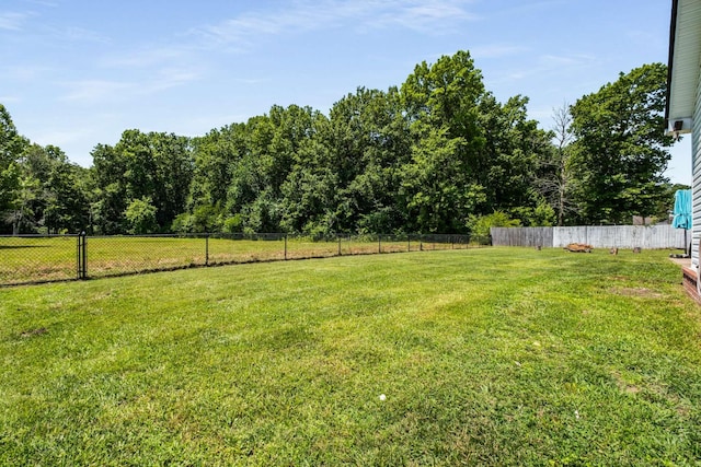 135 Centerrock Dr, Christiana, TN 37037 - photo 33