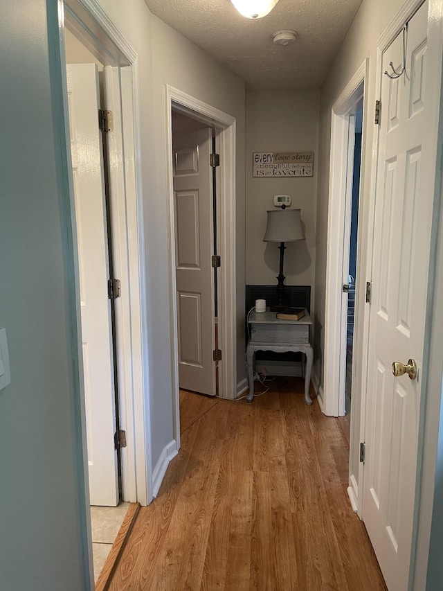 125 Monument Cir, Summertown, TN 38483 - hall with light wood finished floors and a textured ceiling