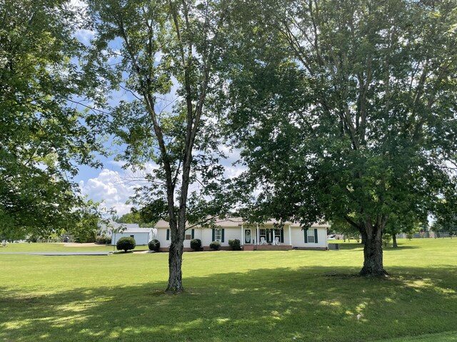 125 Monument Cir, Summertown, TN 38483 - view of green lawn
