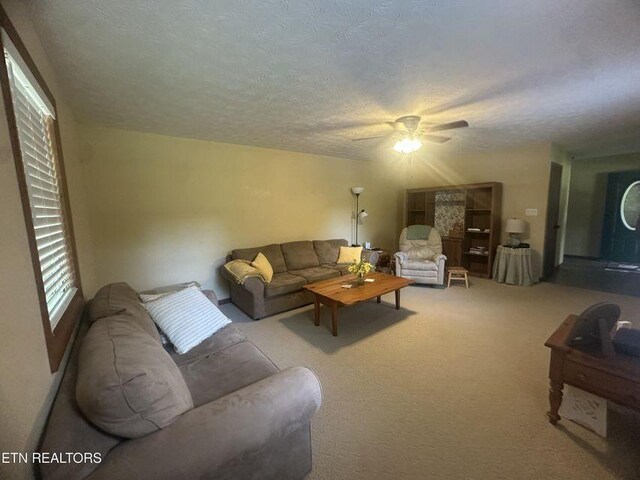 1300 Perimeter Dr, Jamestown, TN 38556 - photo 12