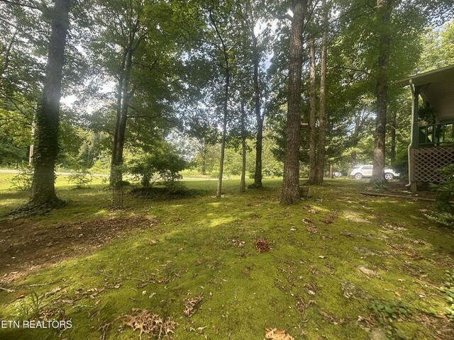 1300 Perimeter Dr, Jamestown, TN 38556 - photo 6