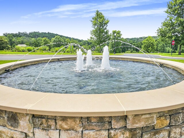 835 Meadowcrest Way, Lebanon, TN 37090 - surrounding community