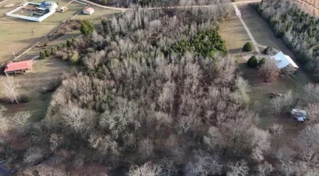 0 Buffalo Bottom Rd, Linden, TN 37096