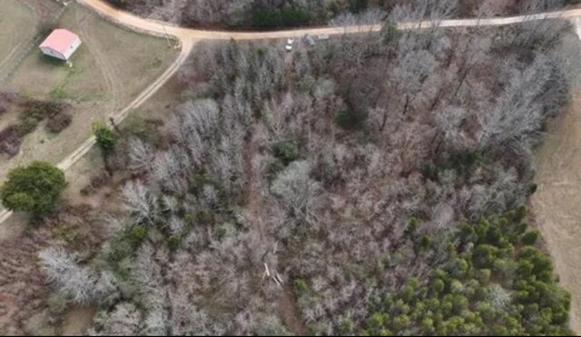 0 Buffalo Bottom Rd, Linden, TN 37096