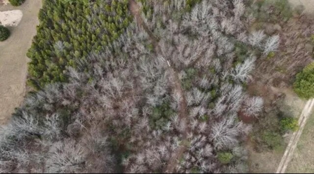 0 Buffalo Bottom Rd, Linden, TN 37096