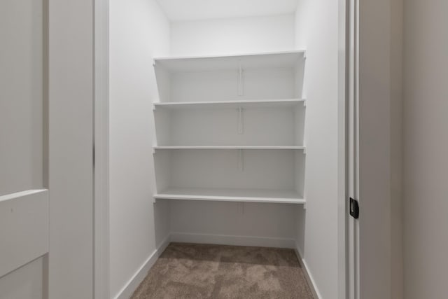 2210 Garners Creek Rd, Dickson, TN 37055 - view of closet