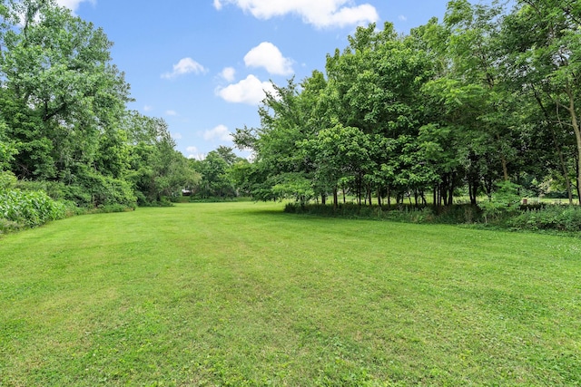 225 54th Ave N, Nashville, TN 37209 - photo 36