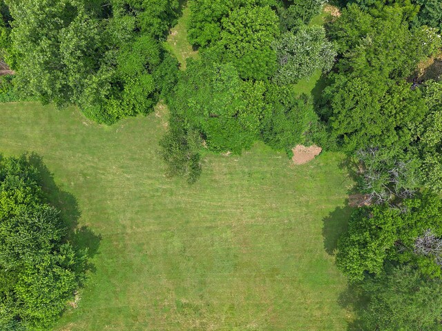 225 54th Ave N, Nashville, TN 37209 - photo 45
