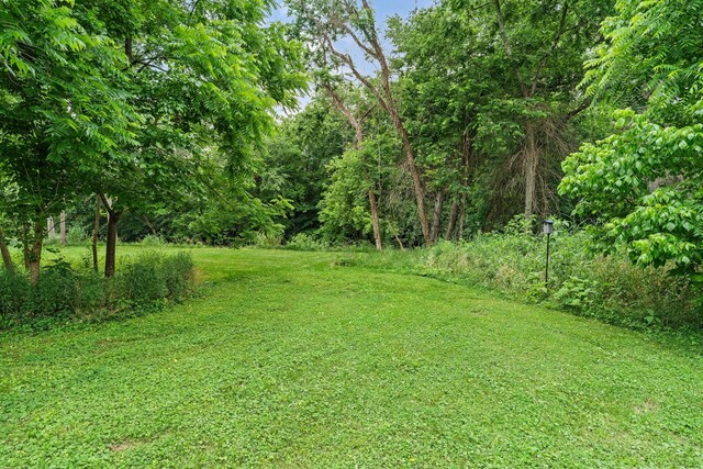 225 54th Ave N, Nashville, TN 37209 - photo 35