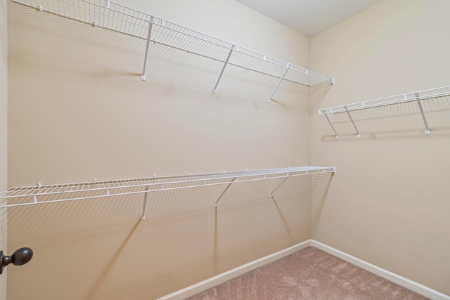 543 Littlestone Dr, Brentwood, TN 37027 - photo 51