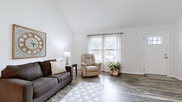 341 Holly Grove Rd, Lewisburg, TN 37091 - living room featuring plenty of natural light, vaulted ceiling, and wood finished floors