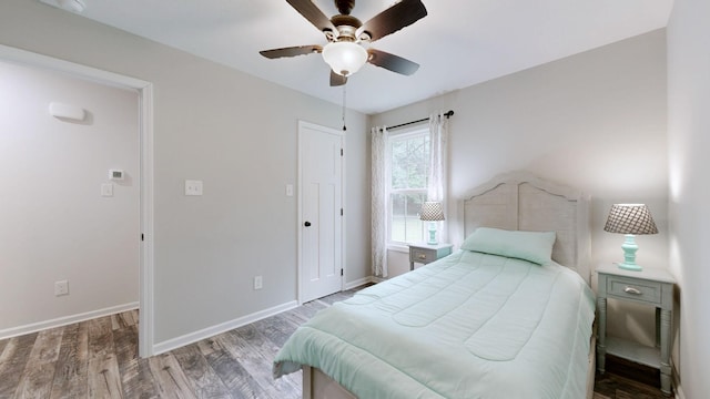 341 Holly Grove Rd, Lewisburg, TN 37091 - bedroom with wood finished floors, a ceiling fan, and a closet