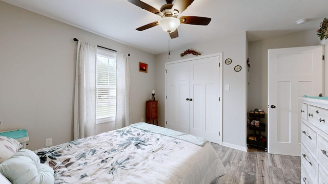 341 Holly Grove Rd, Lewisburg, TN 37091 - bedroom with light wood-style floors, a closet, and ceiling fan