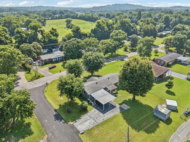 4011 Brookside Dr, Columbia, TN 38401 - photo 54