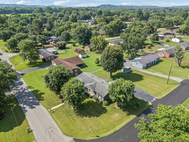 4011 Brookside Dr, Columbia, TN 38401 - photo 52