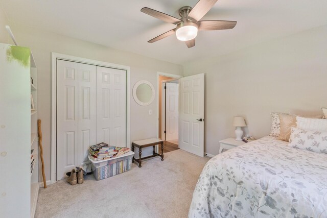 107 Bayview Dr, Hendersonville, TN 37075 - photo 22