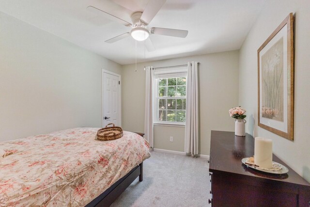 107 Bayview Dr, Hendersonville, TN 37075 - photo 24