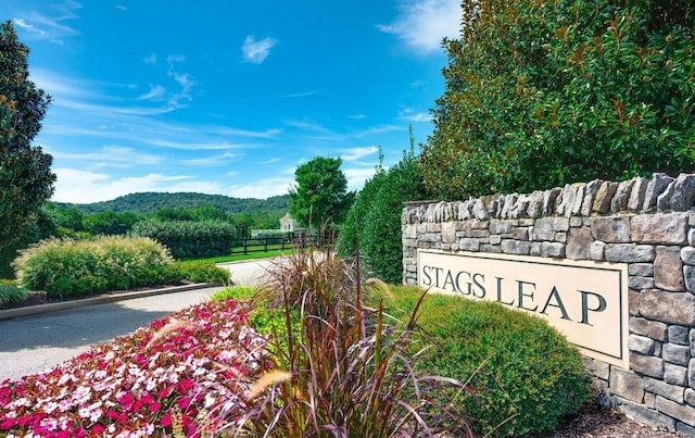 6033 Stags Leap Way, Franklin, TN 37064 - photo 32