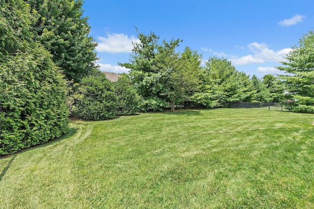 6033 Stags Leap Way, Franklin, TN 37064 - photo 28