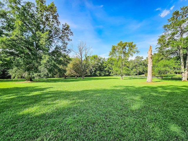 4623 Lebanon Rd, Murfreesboro, TN 37129 - view of yard with view of wooded area