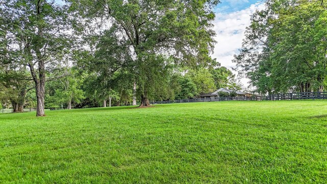 4623 Lebanon Rd, Murfreesboro, TN 37129 - view of yard